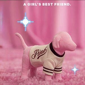 💖 PINK Victorias Secret mini Dog NWT NIP Friday Varsity jersey sweater plush VS